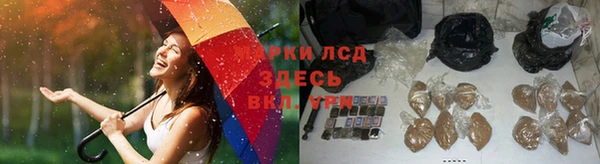 стаф Осинники