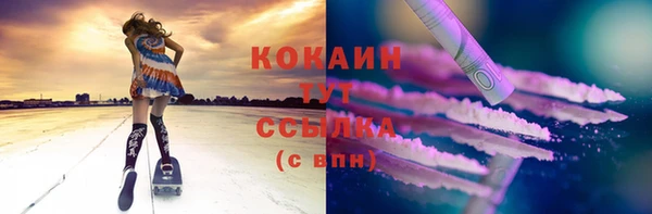дурь Гусев