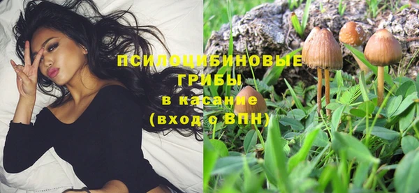 стаф Осинники