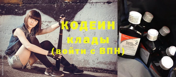 сатива Гусь-Хрустальный