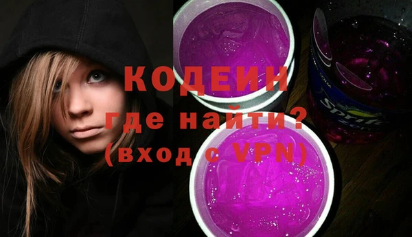 дурь Гусев