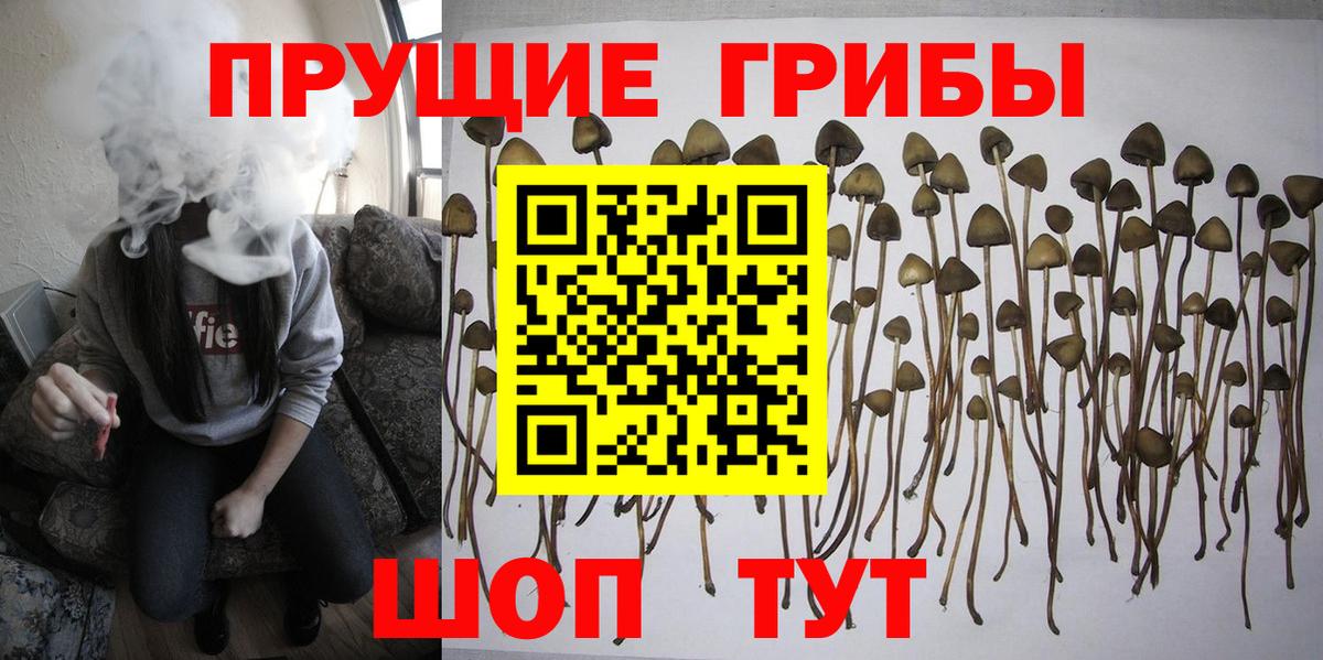 Галлюциногенные грибы мухоморы  Галлюциногенные грибы Psilocybe  Протвино  Вход с VPN 